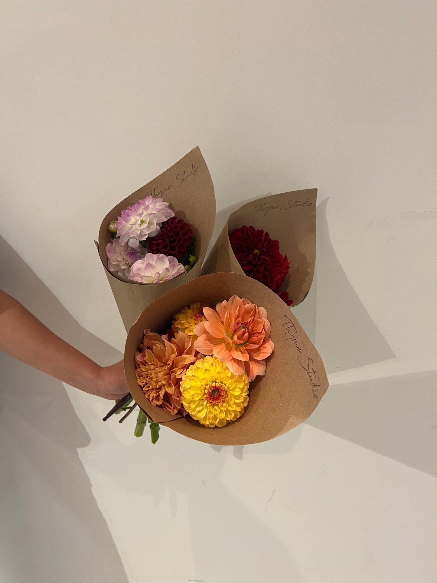 Local Dahlia Bundle