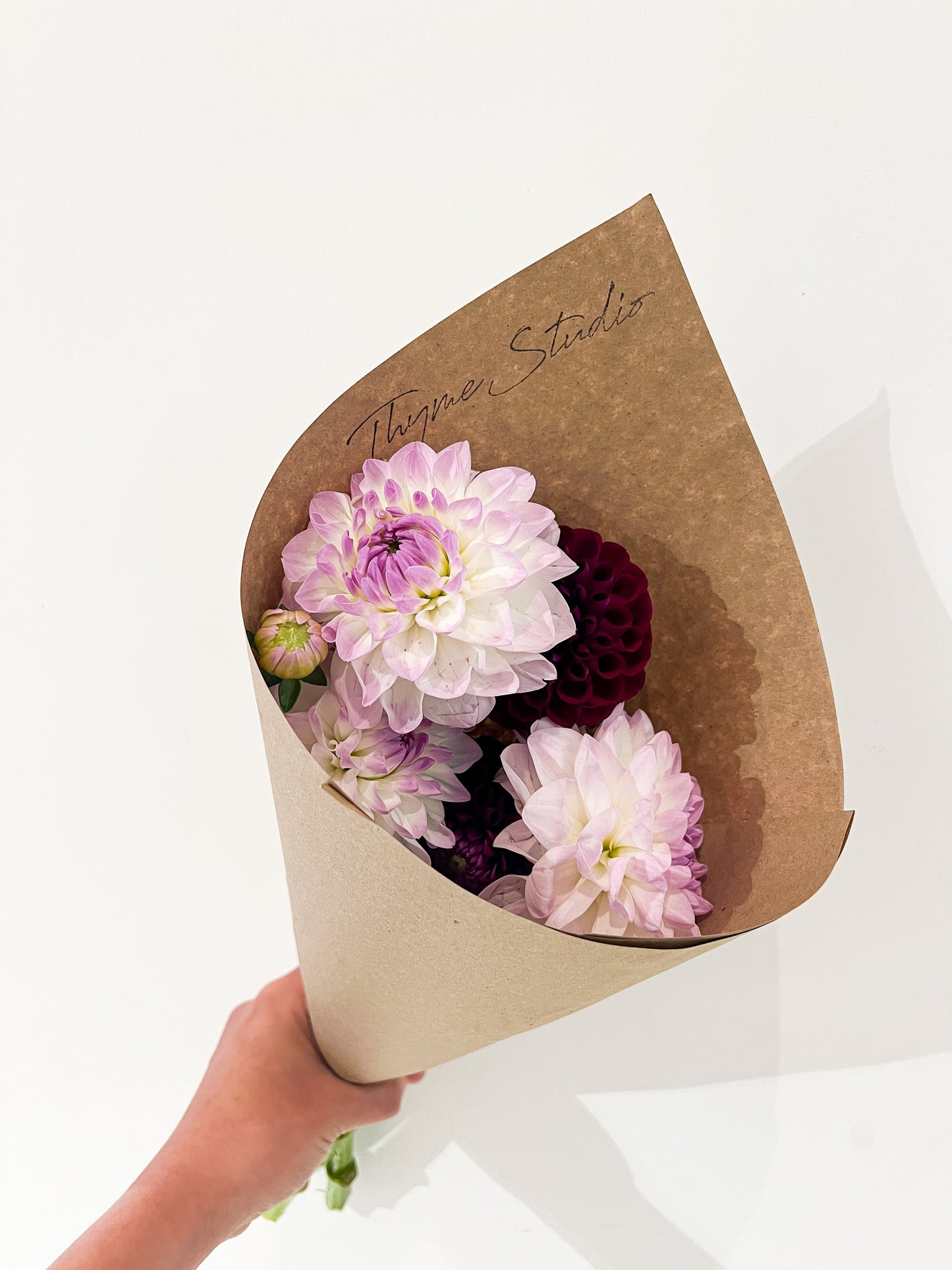 Local Dahlia Bundle