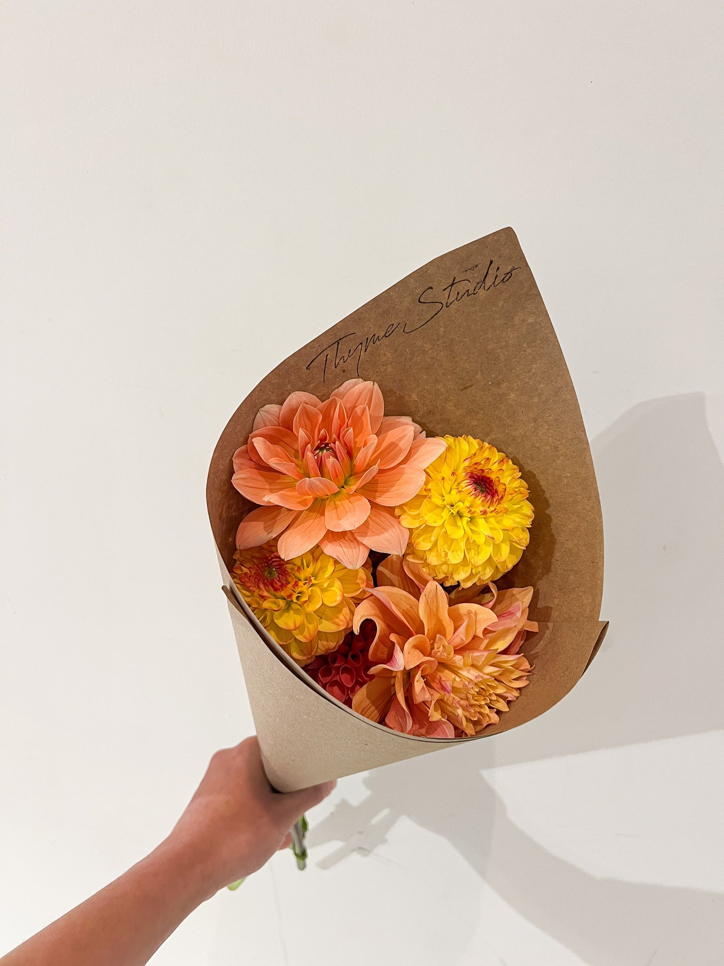 Local Dahlia Bundle