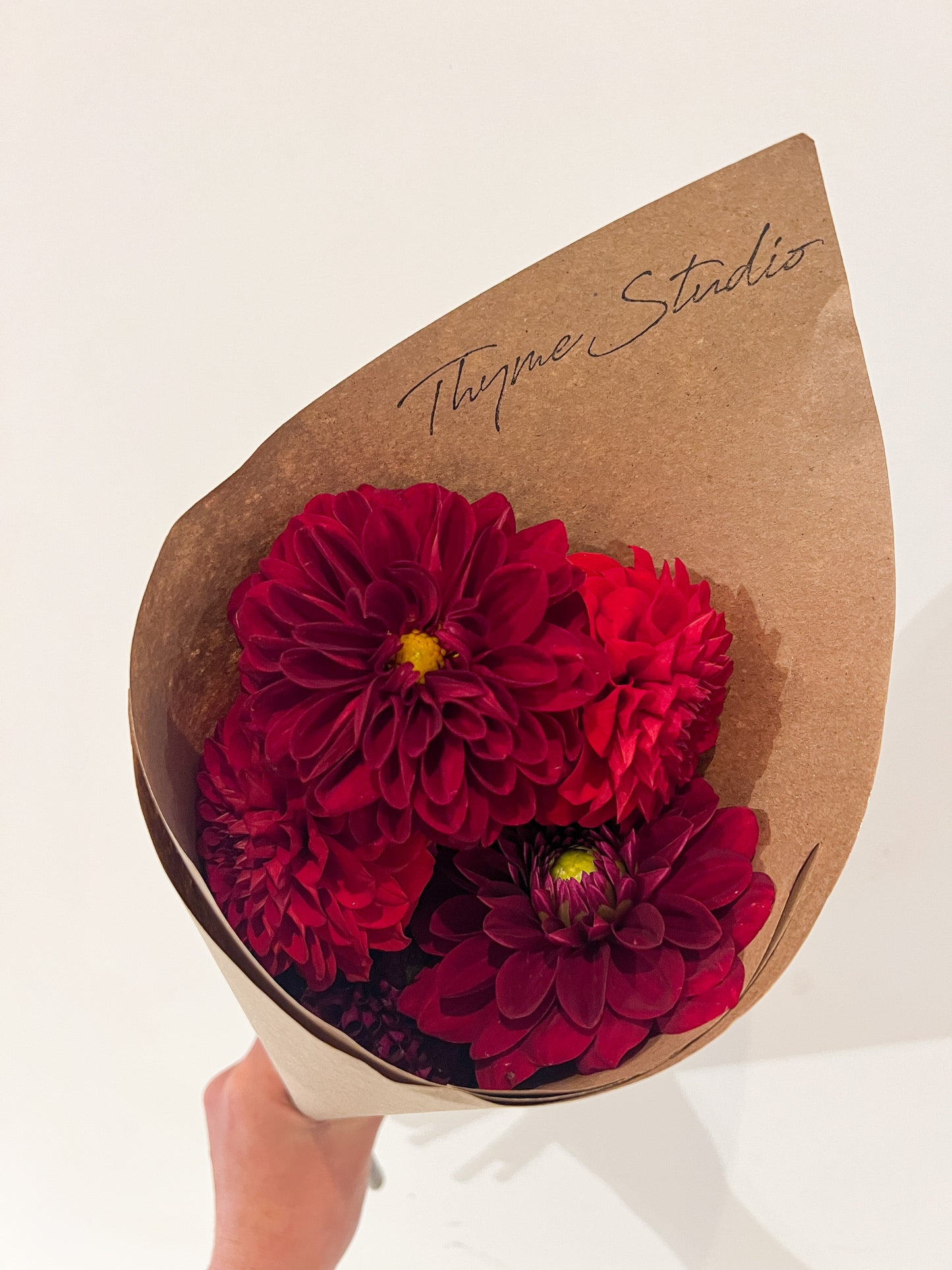 Local Dahlia Bundle