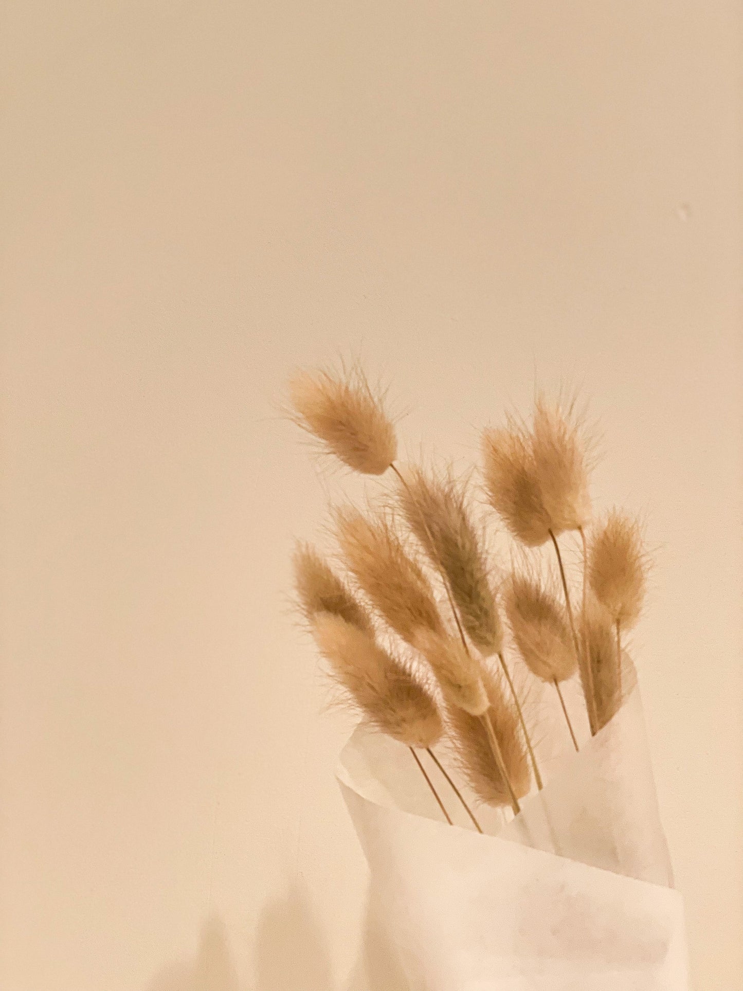 Bunny Tails