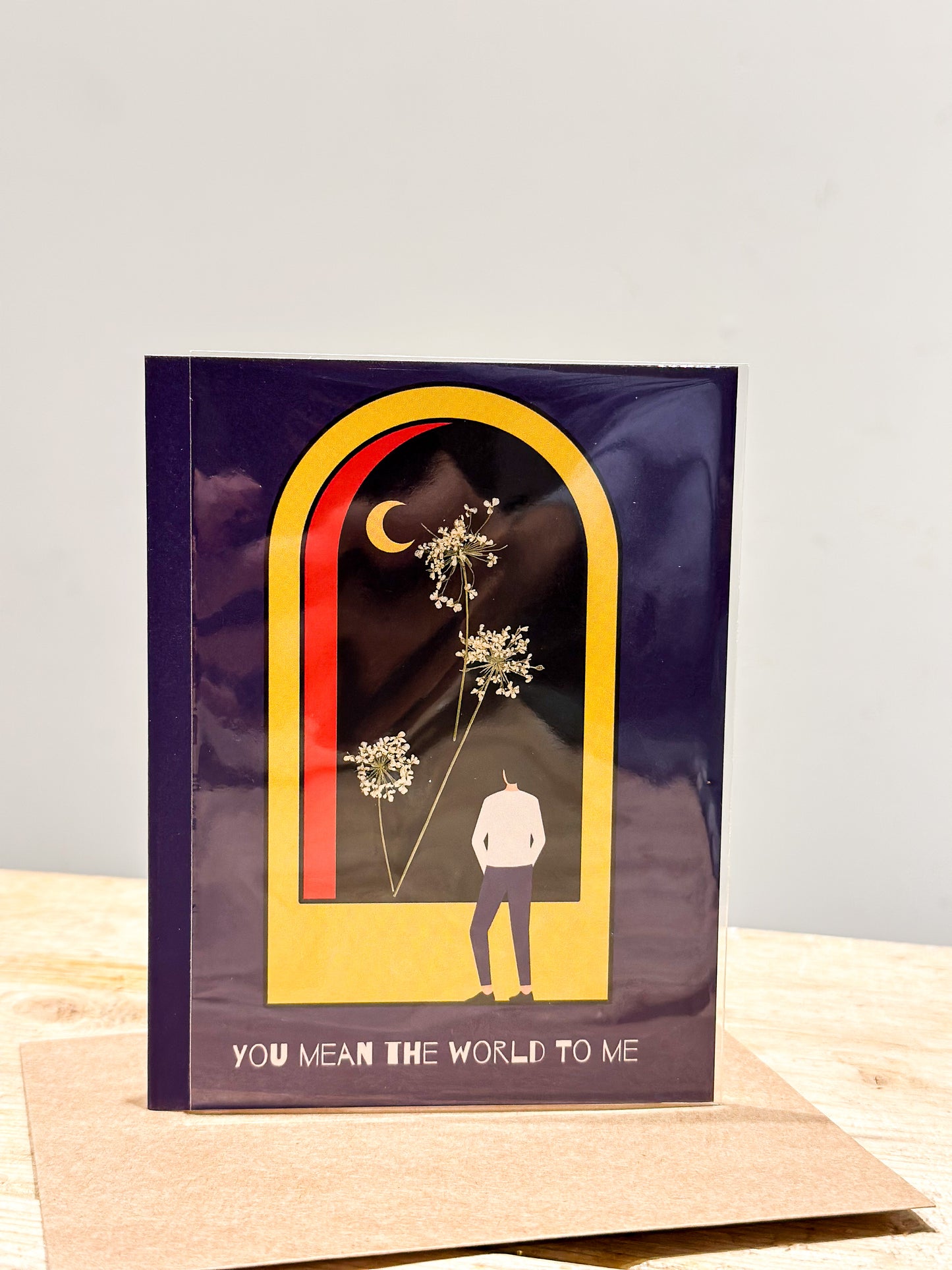 Plantbox - You Mean the World to me