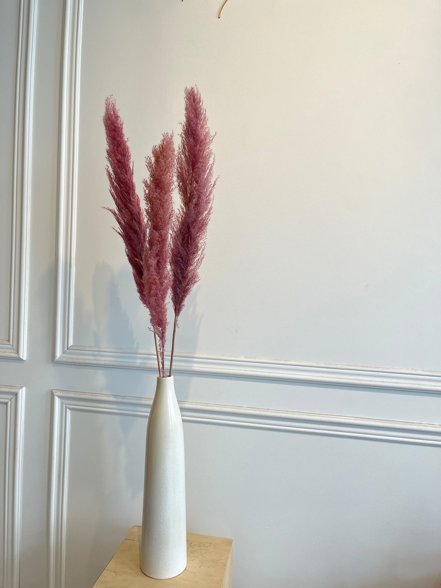 Medium Pampas