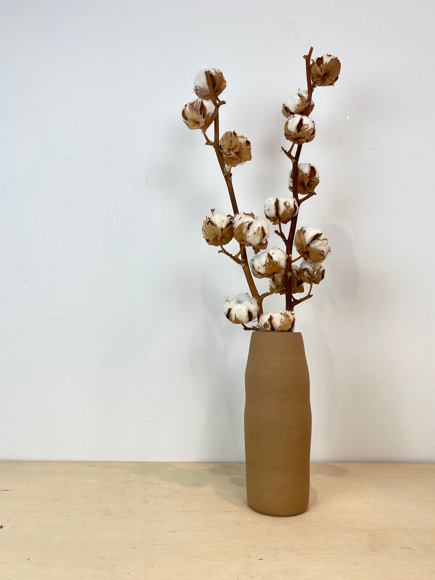 Cotton Stem
