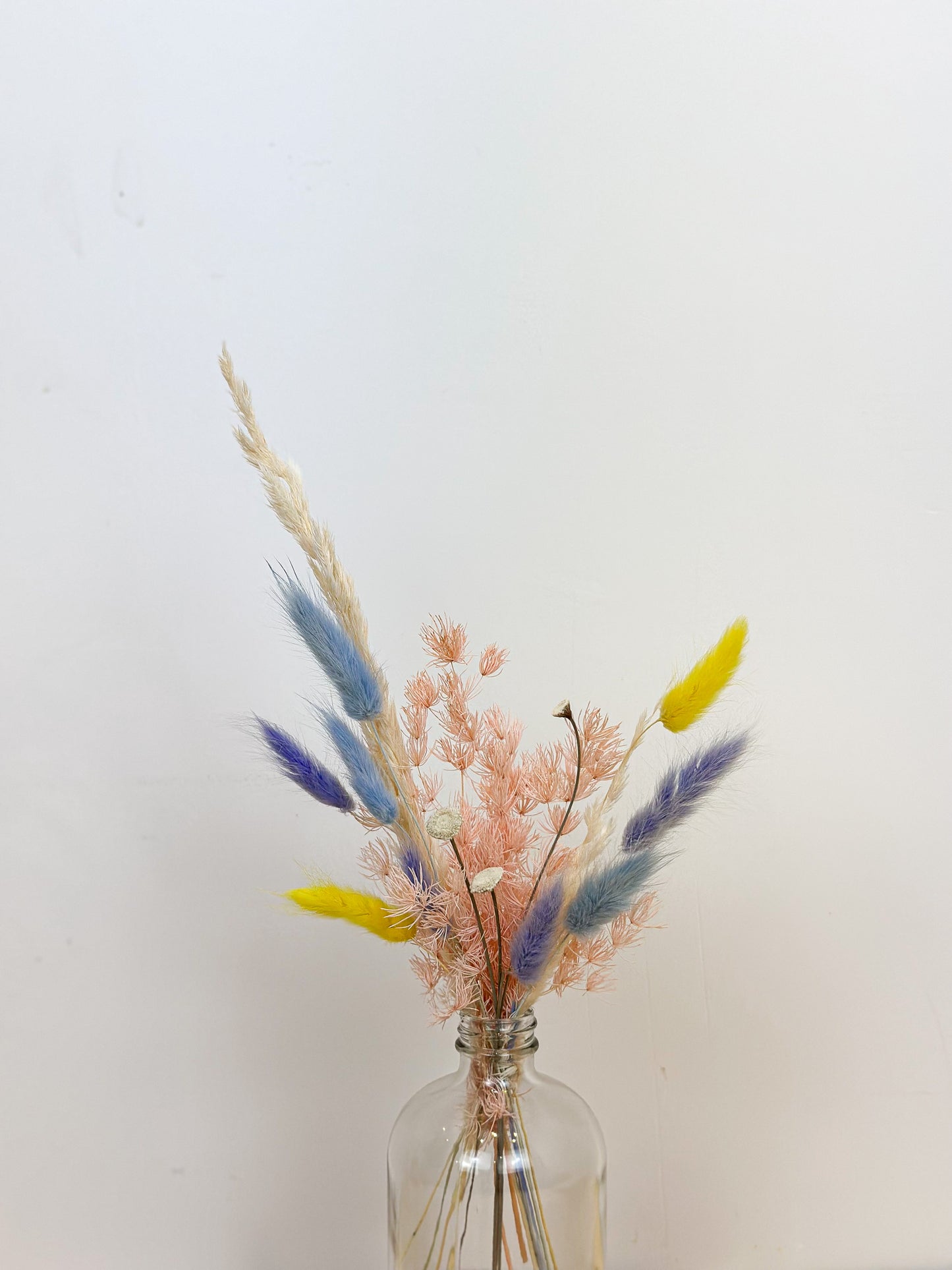 Cotton Candy Dried Bottle