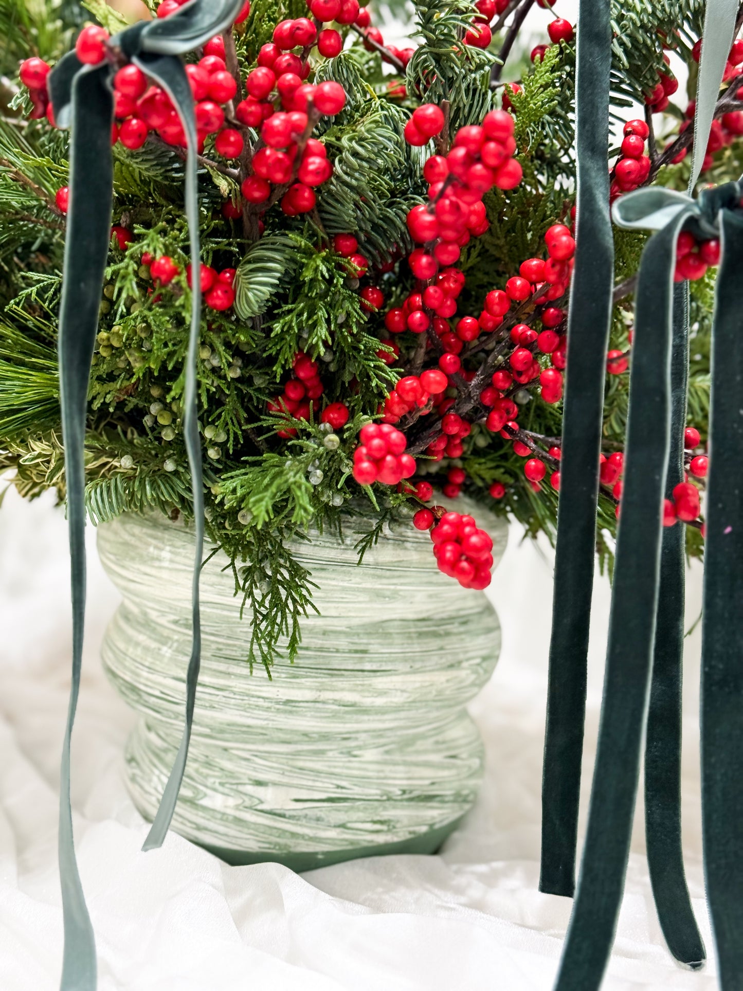 Winter Wonder Willow