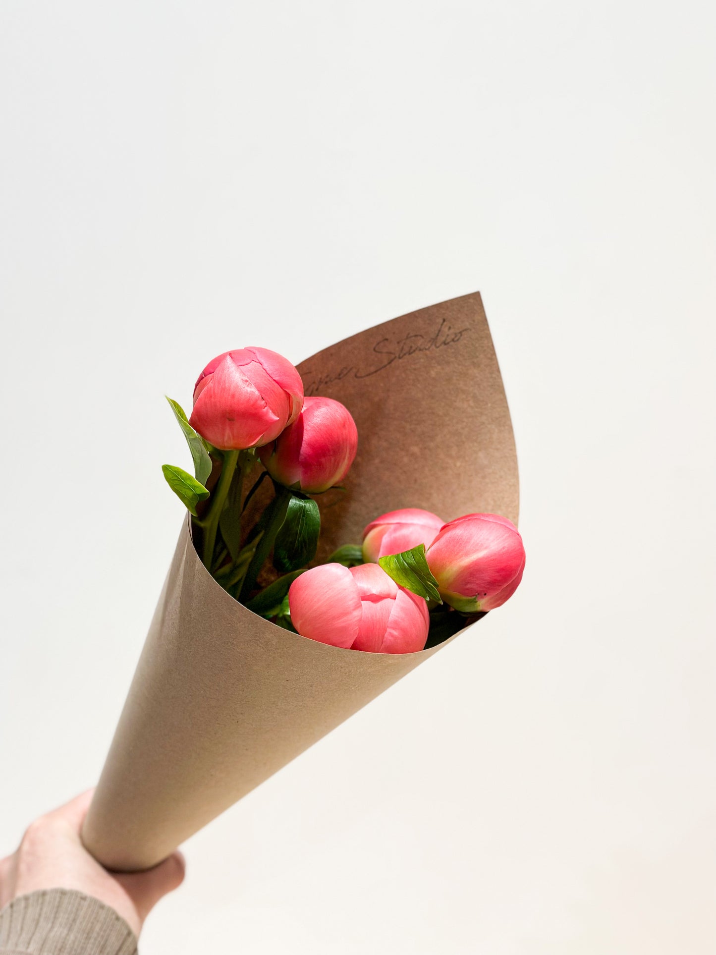 Peony Bundle