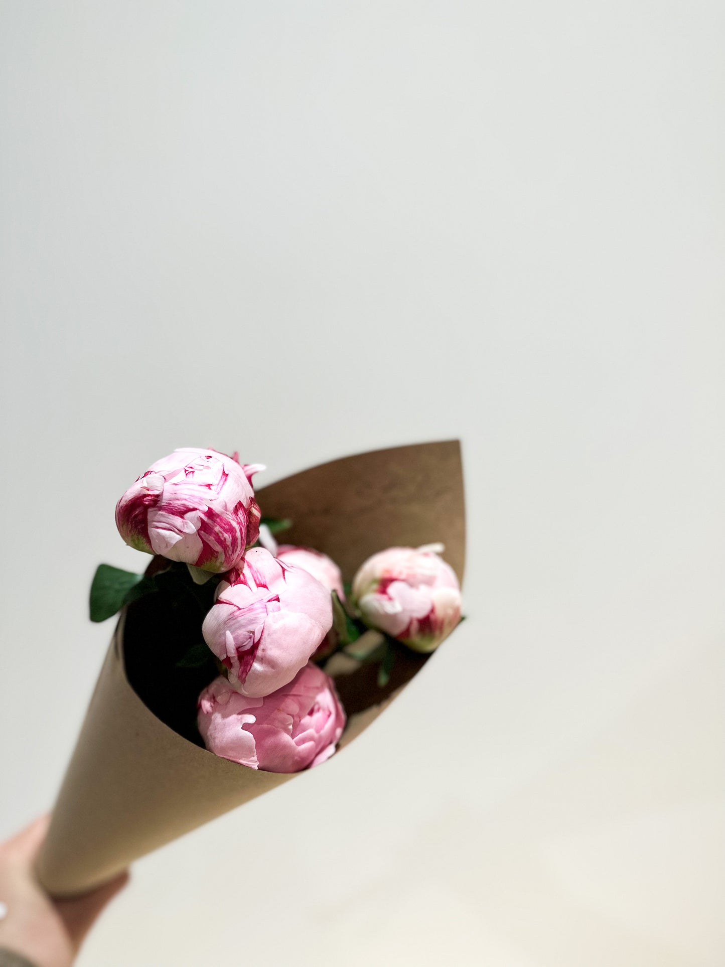 Peony Bundle