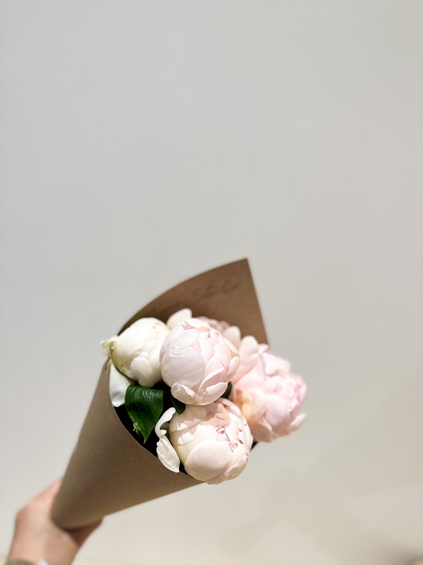 Peony Bundle