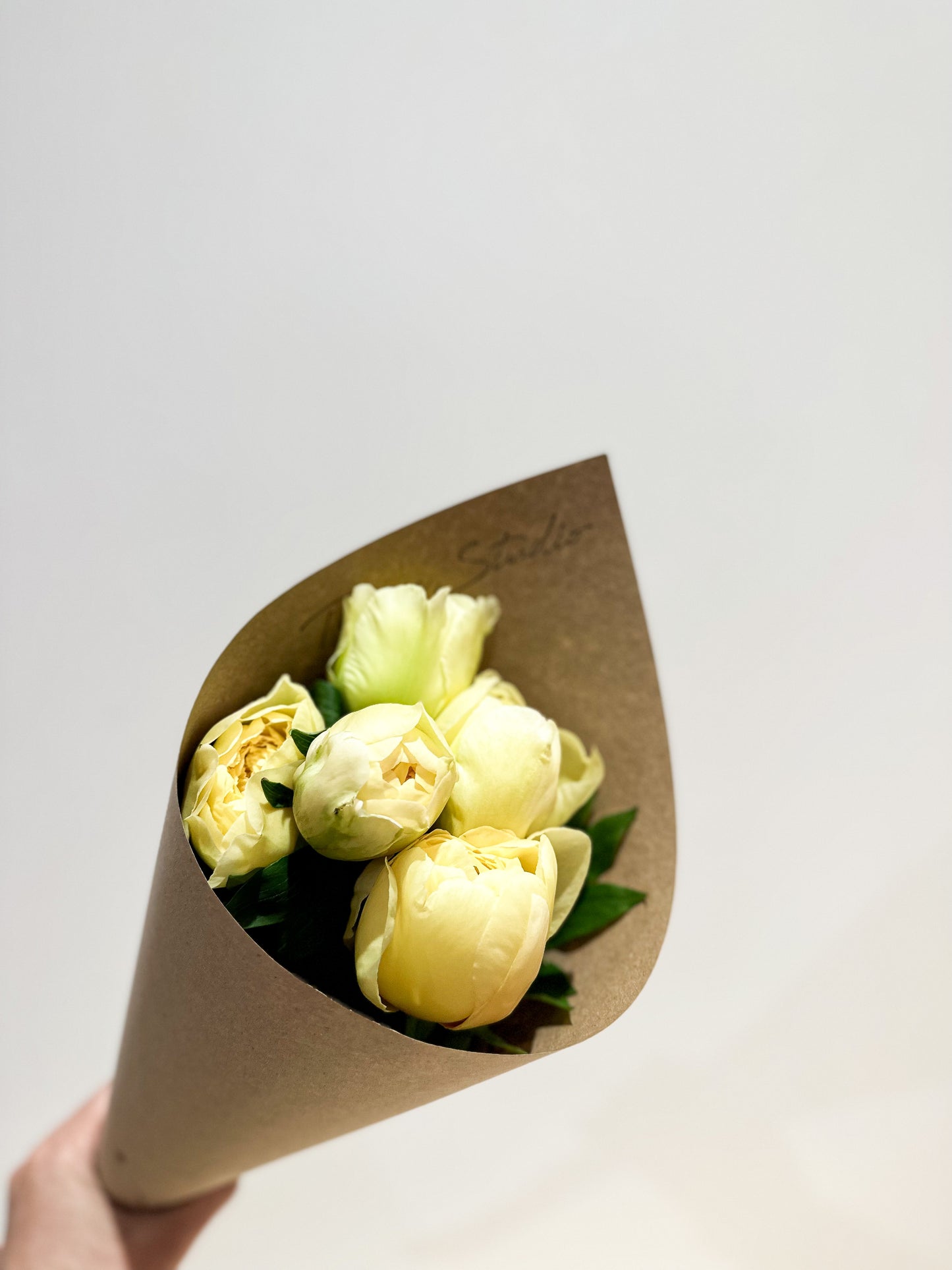 Peony Bundle