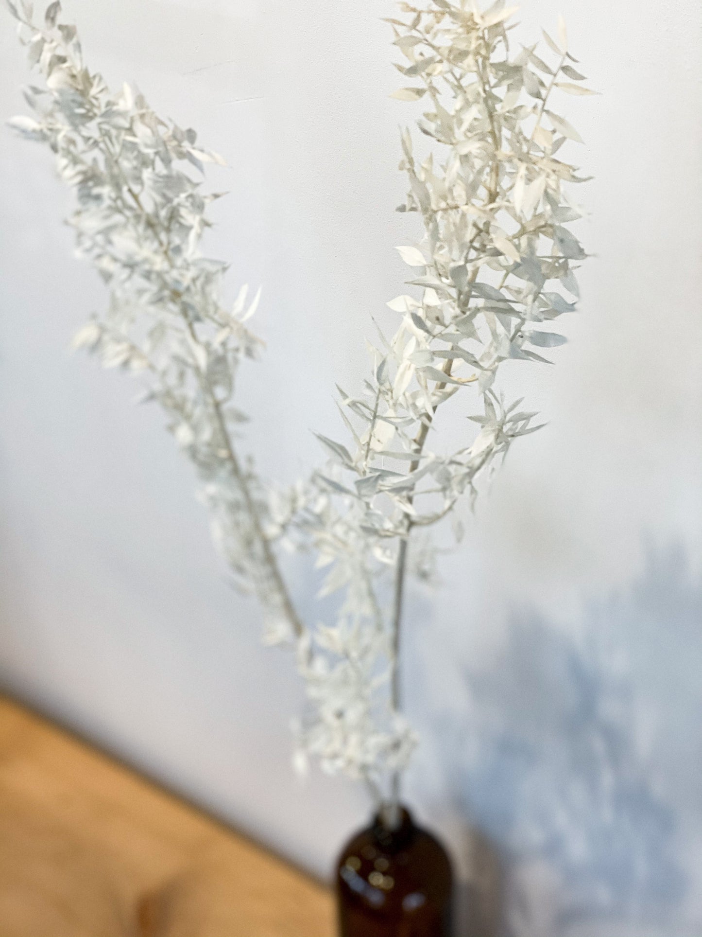 Ruscus Stems