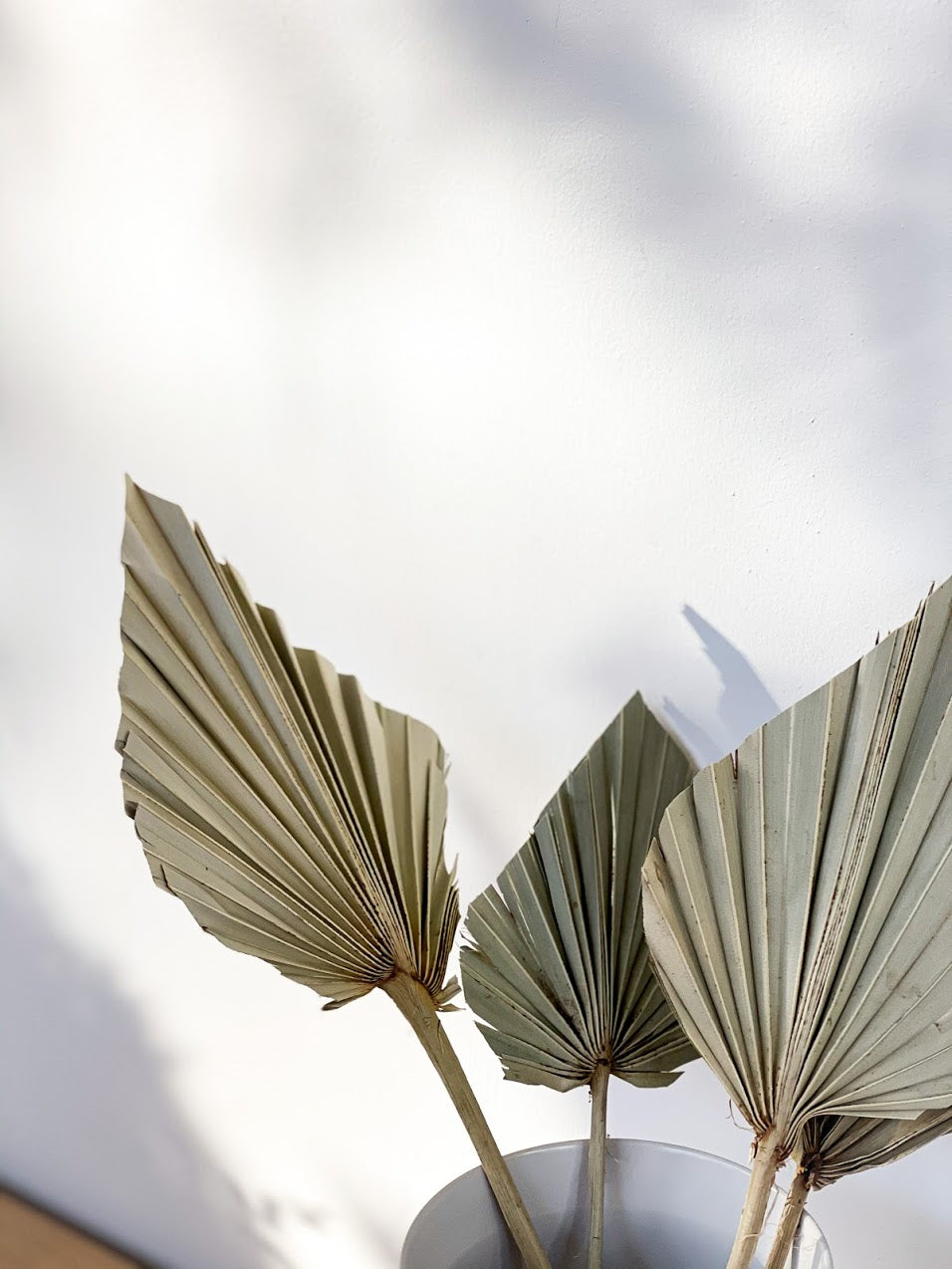 Palm Spears