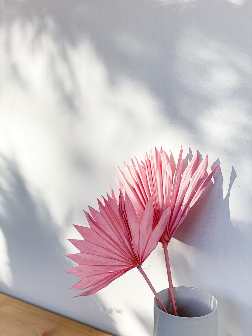 Palm Sun