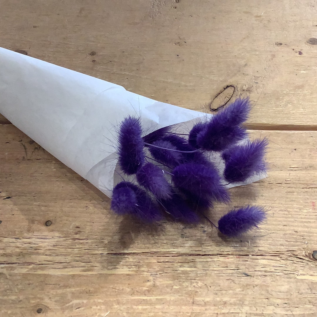 Bunny Tails