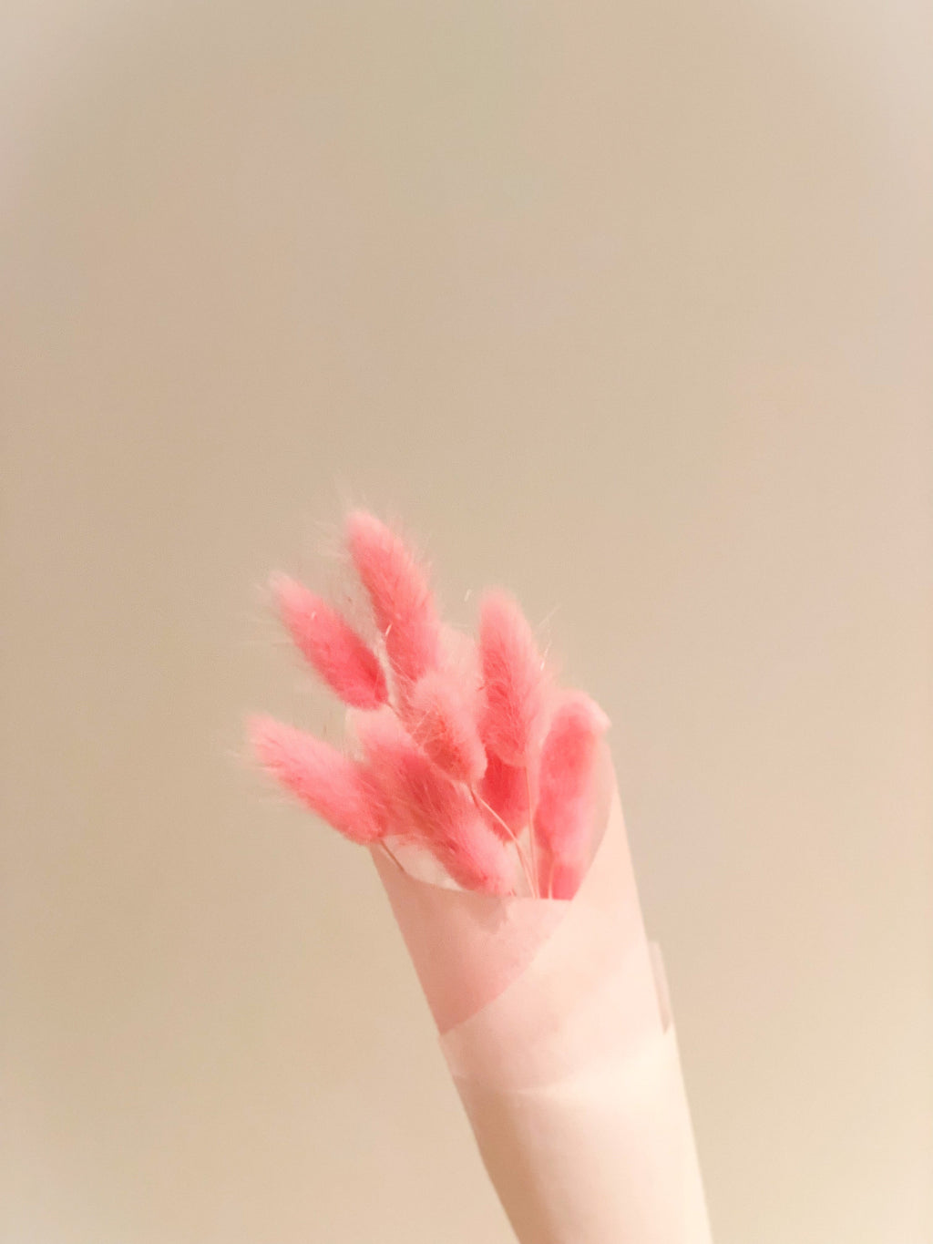 Bunny Tails