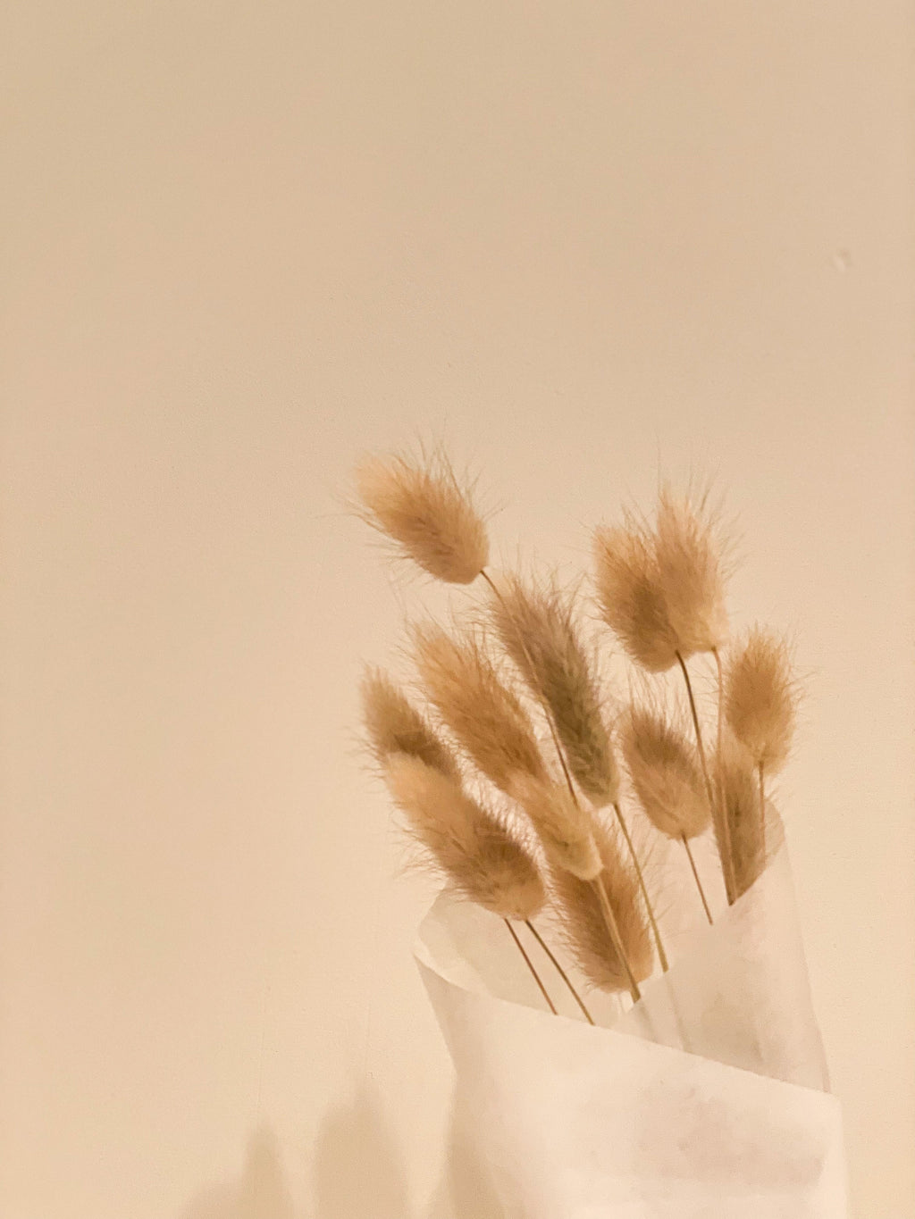 Bunny Tails