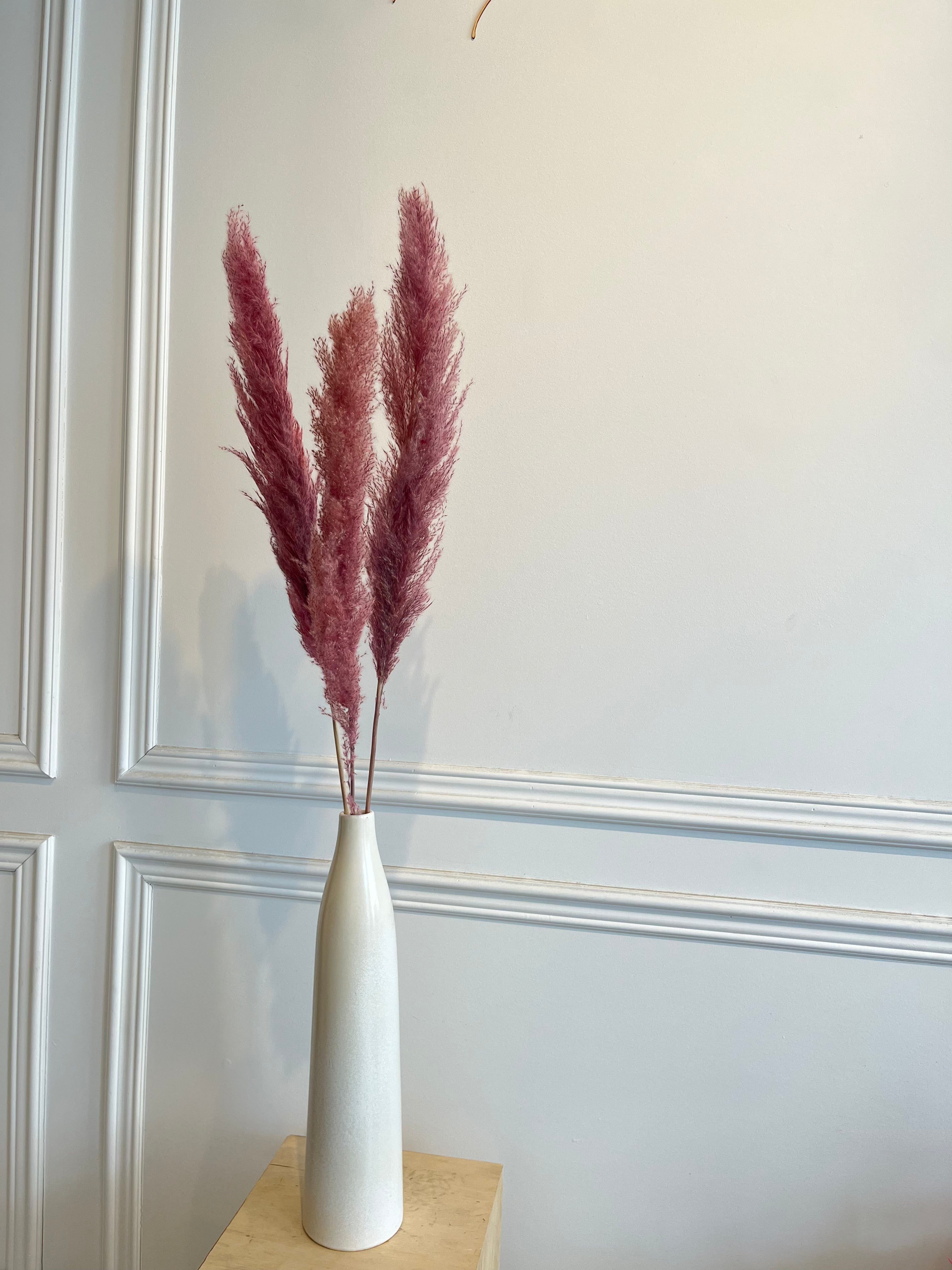 Medium Pampas