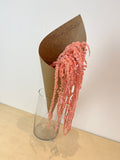 Dried Amaranth