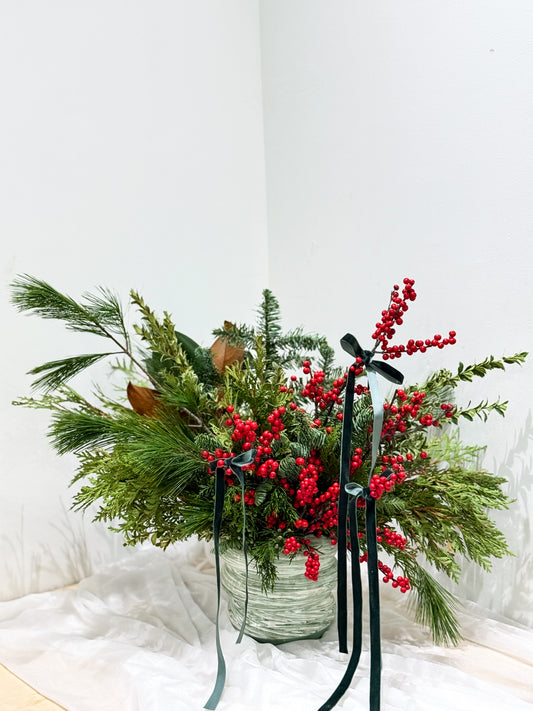 Winter Wonder Willow