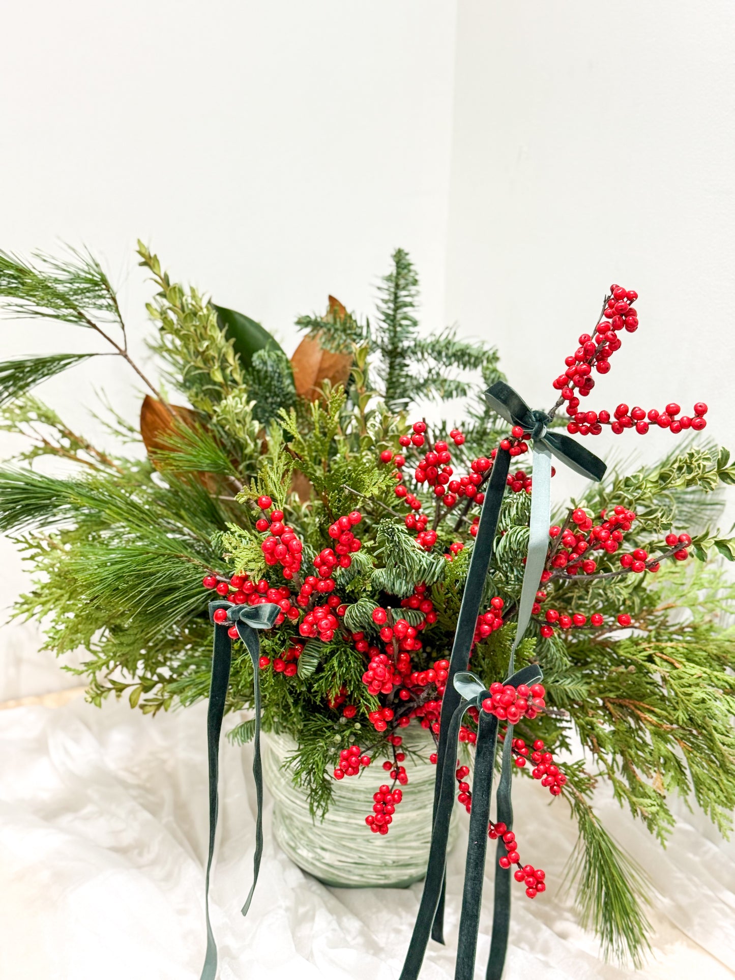 Winter Wonder Willow