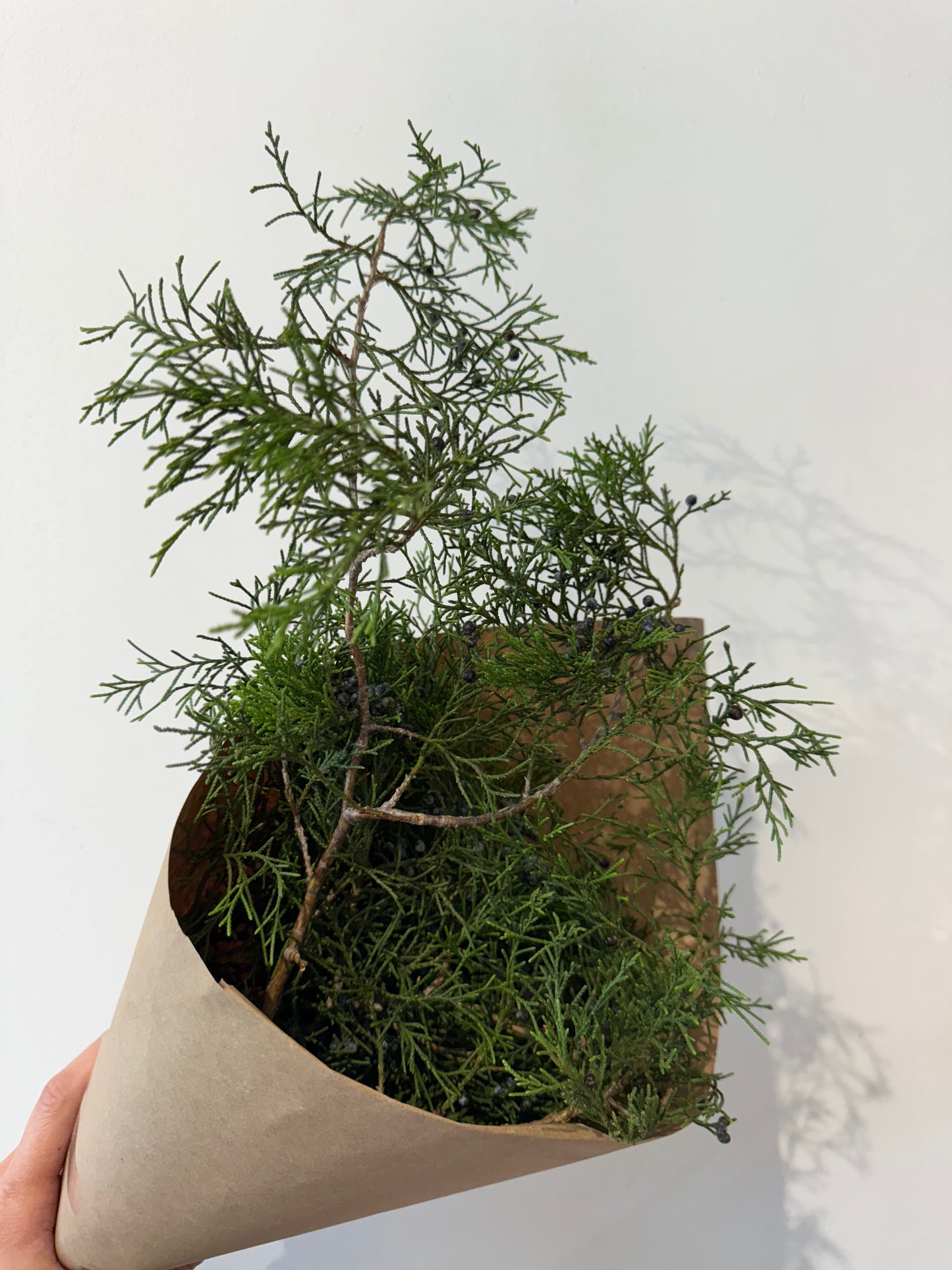 Holiday Greenery Bundle