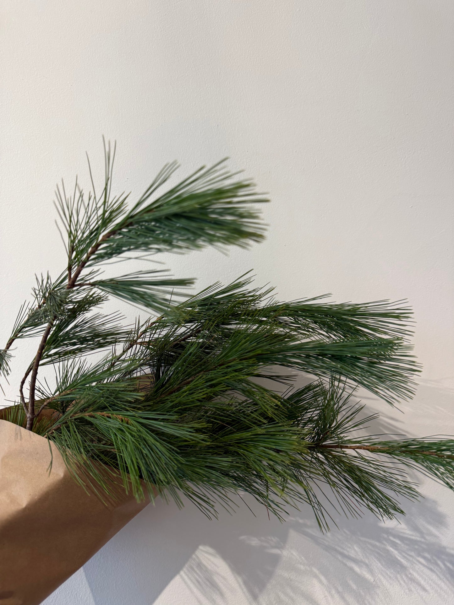 Holiday Greenery Bundle