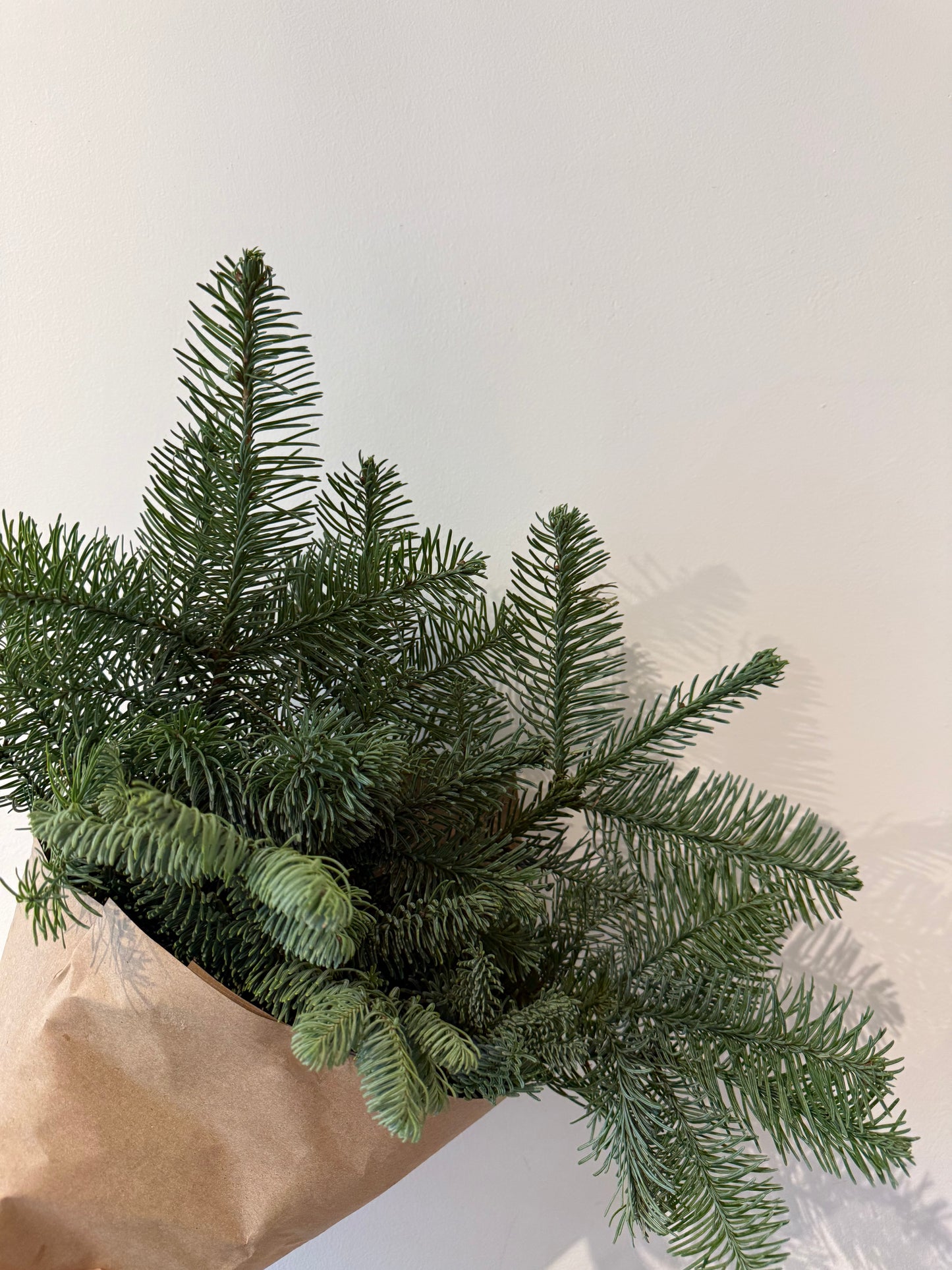 Holiday Greenery Bundle