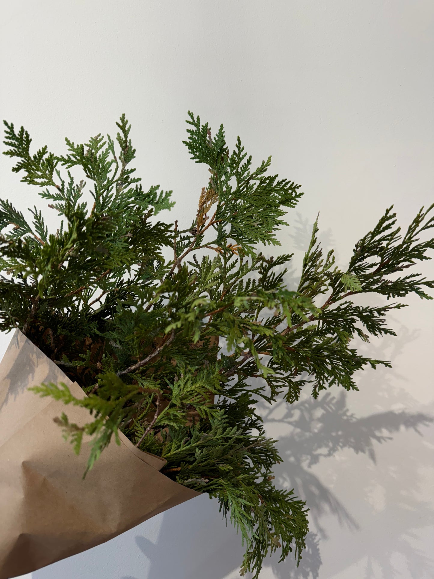 Holiday Greenery Bundle