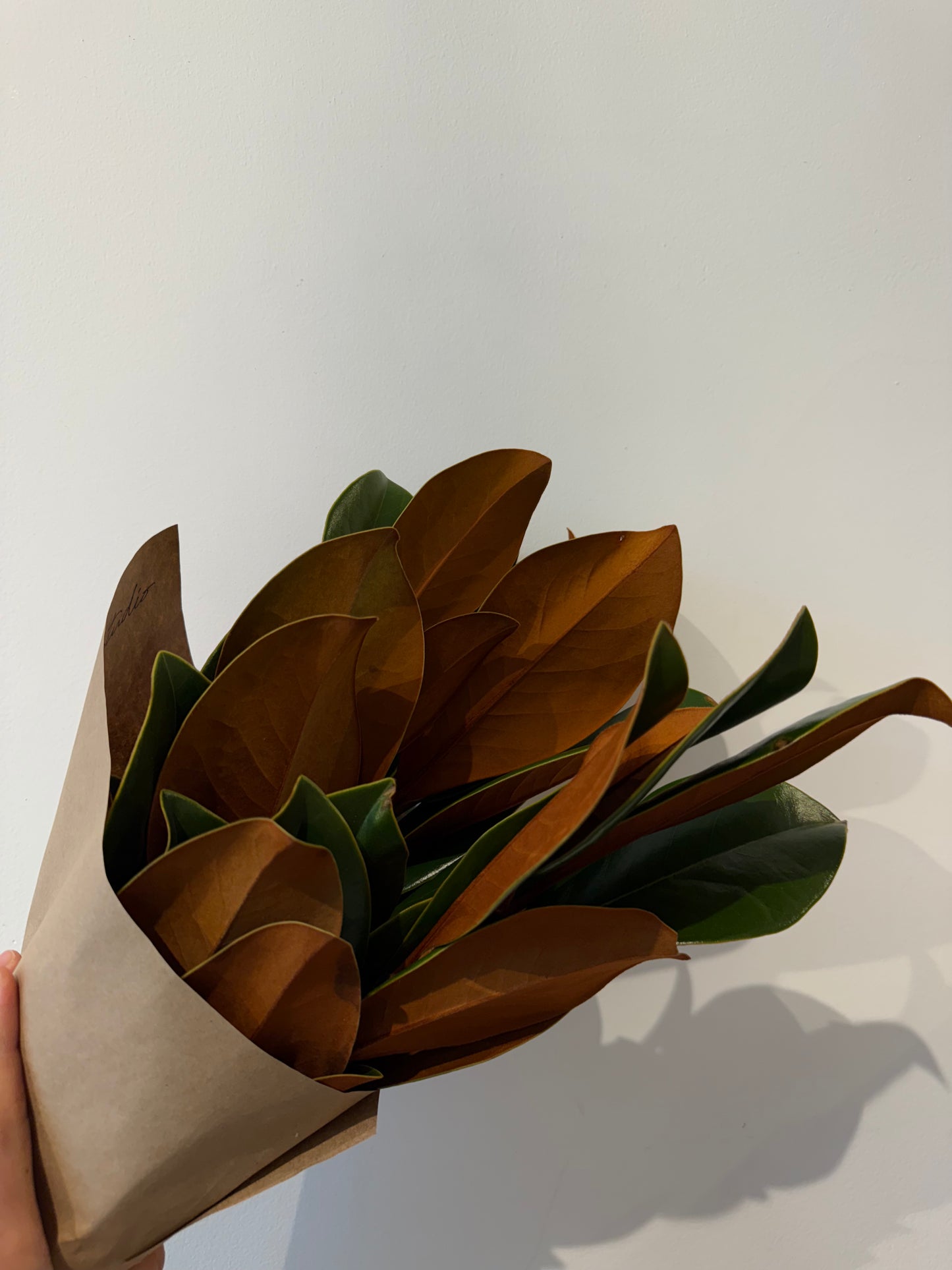 Holiday Greenery Bundle