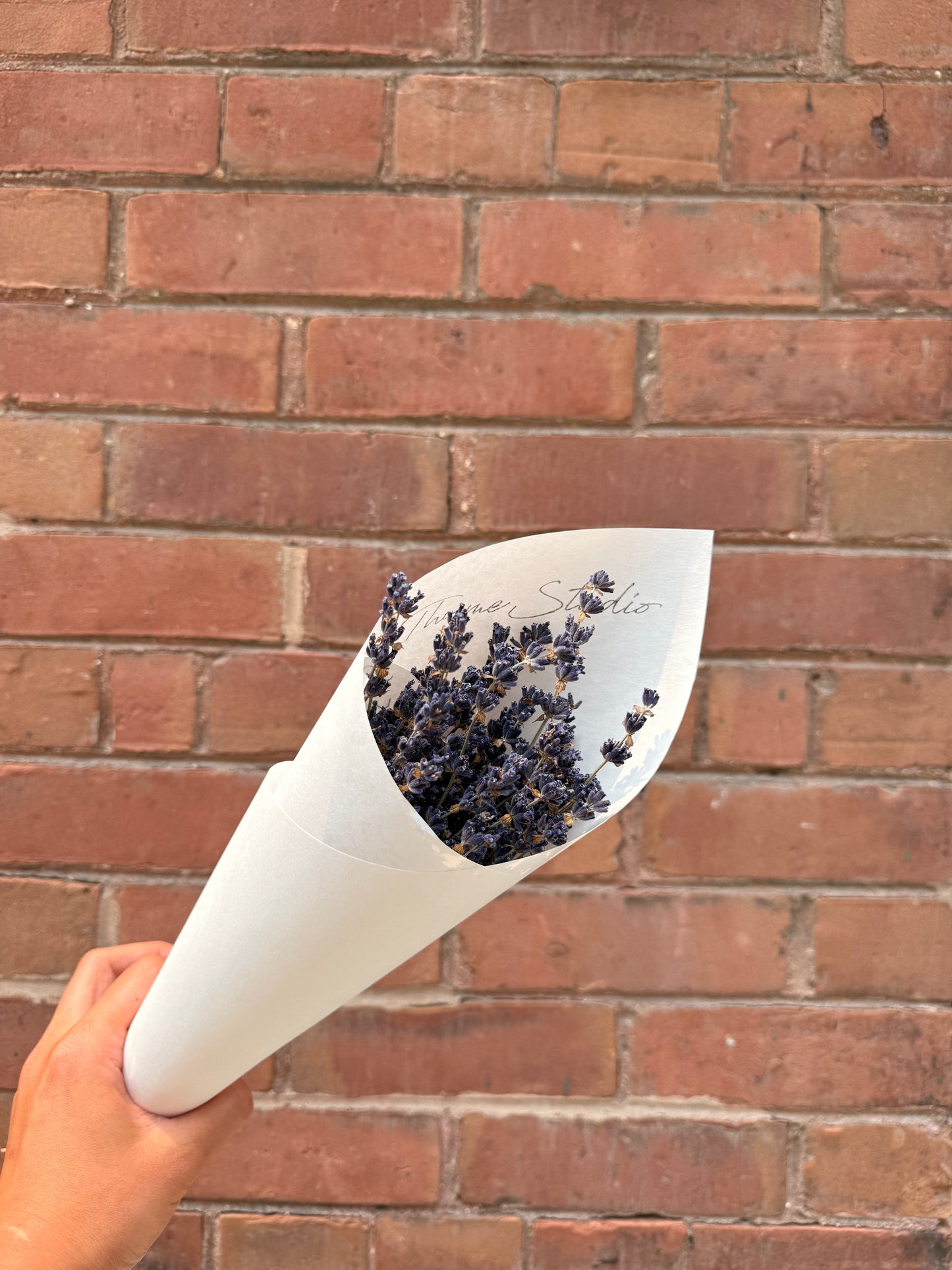Dried Lavender Bundle