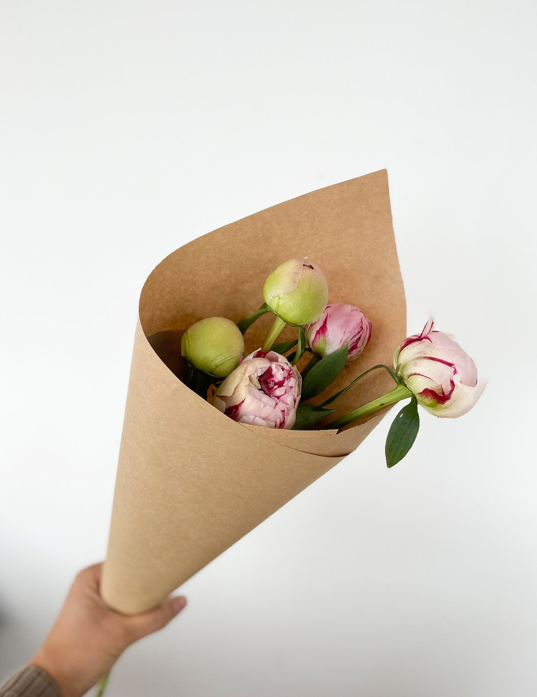 Peony Bundle